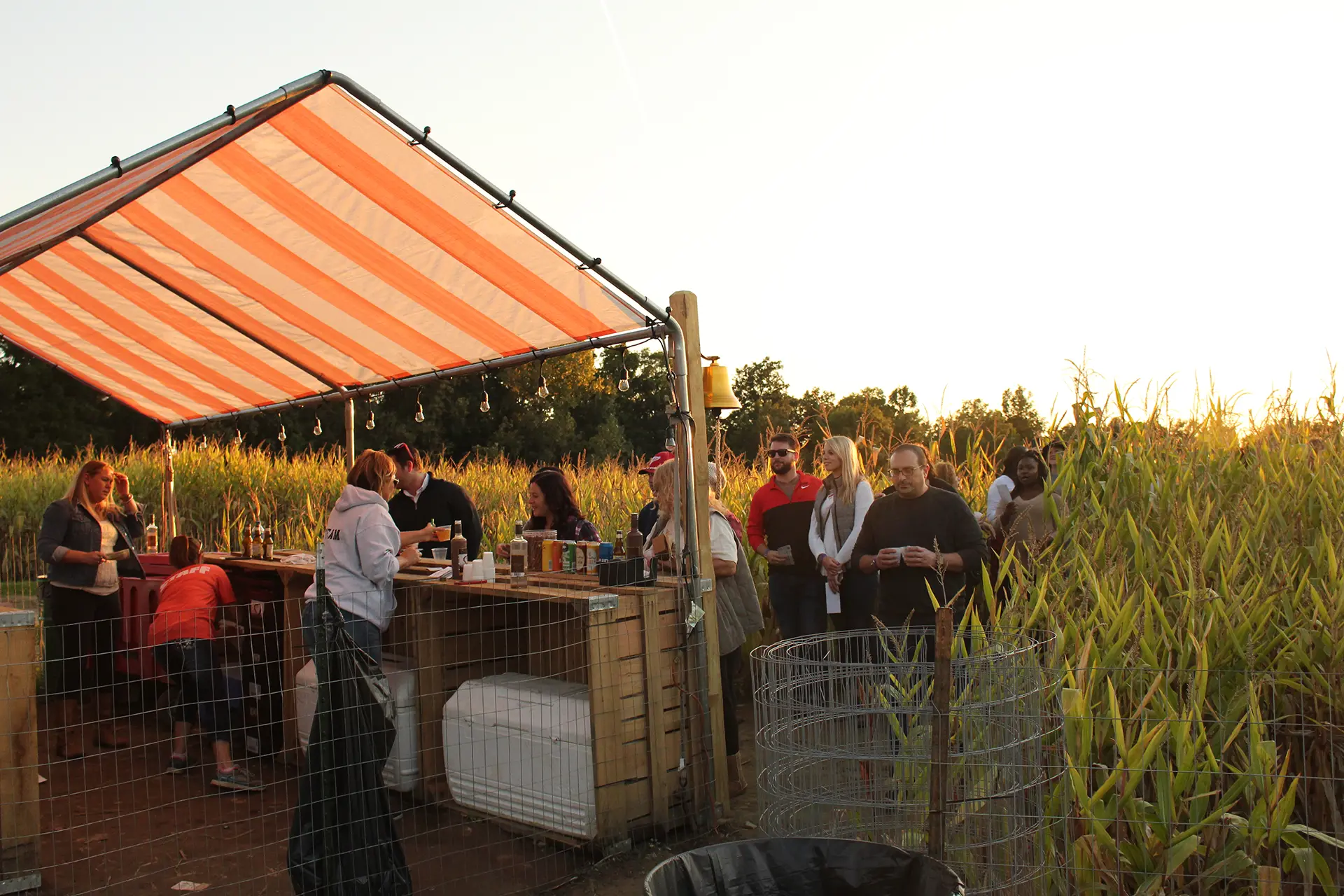 Wine tasting at Vino the Way